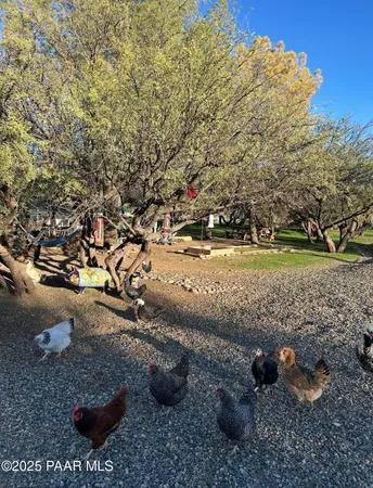 a view of a yard