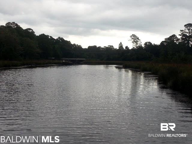 0 Collins Lane Foley, AL 36535 - Photo 5 of 13