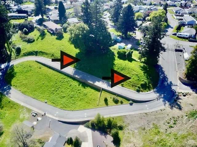 a view of a back yard with green space