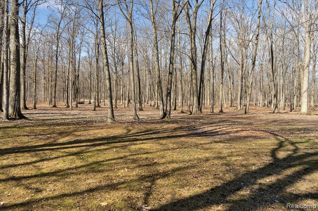 6730 Fort Road Birch Run, MI 48415 - Photo 8 of 27