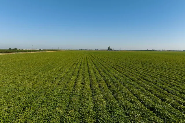 $5,600,000 | 15490 Atwater Jordan Road, Livingston, CA 95334