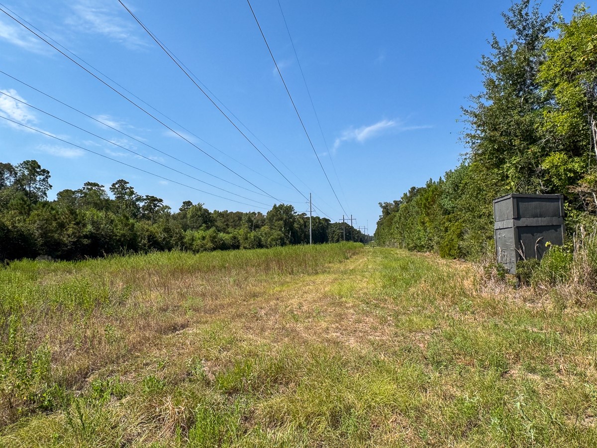 0 Johnson Road Huntsville, TX 77320 - Photo 10 of 29 Gallery Image 10
