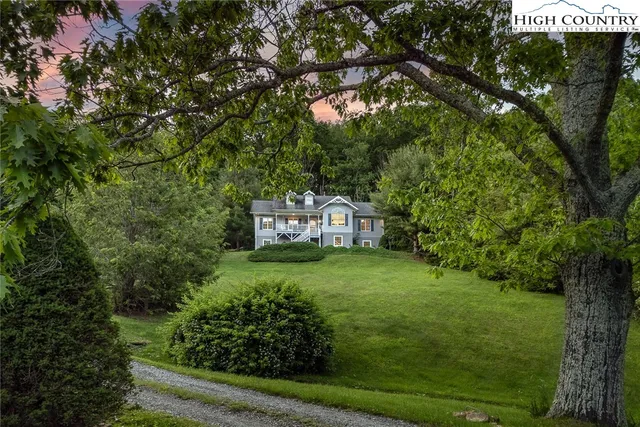 a view of a lush green forest