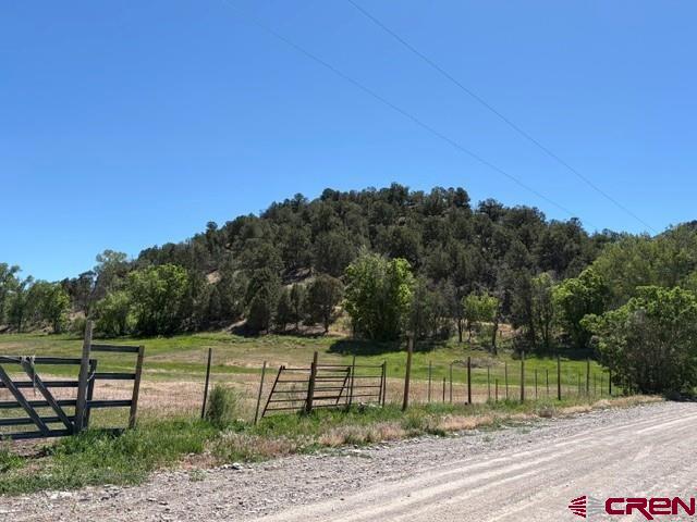 224 Spud Hill Road Montrose, CO 81403 - Photo 2 of 16