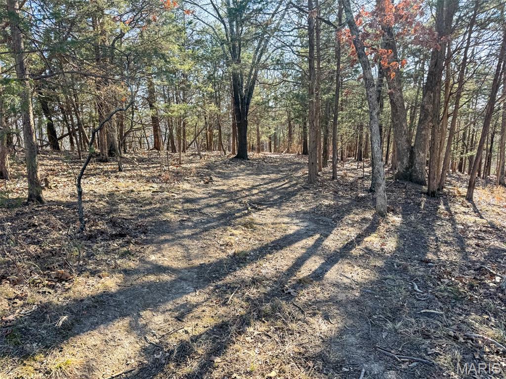 6606 Old Lemay Ferry Road Imperial, MO 63052 - Photo 25 of 39