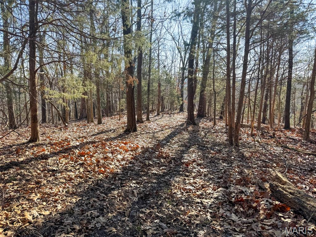 6606 Old Lemay Ferry Road Imperial, MO 63052 - Photo 27 of 39