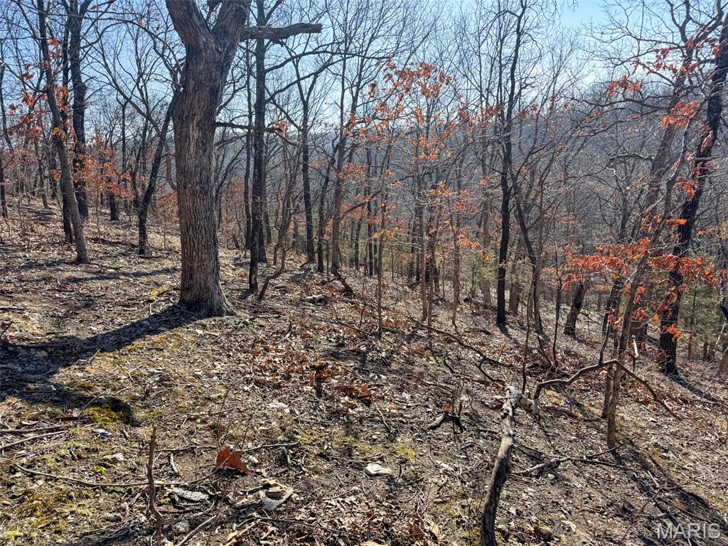 6606 Old Lemay Ferry Road Imperial, MO 63052 - Photo 30 of 39