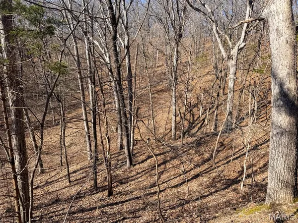 $360,000 | 6606 Old Lemay Ferry Road, Imperial, MO 63052