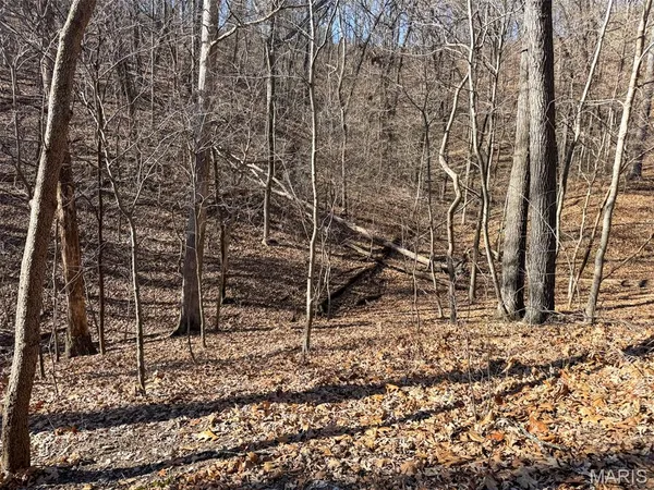 $360,000 | 6606 Old Lemay Ferry Road, Imperial, MO 63052