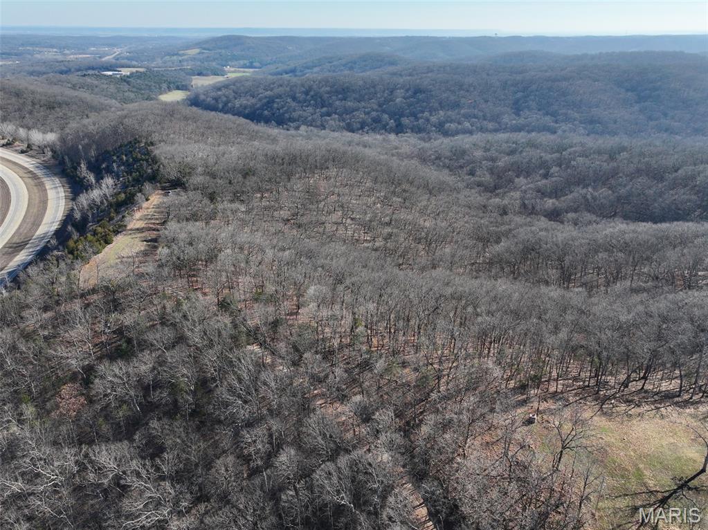 6606 Old Lemay Ferry Road Imperial, MO 63052 - Photo 6 of 39