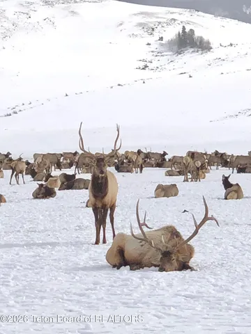 $1,100,000 | 115 Spike Loop, Etna, WY 83118