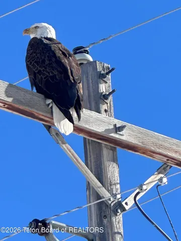 $1,100,000 | 115 Spike Loop, Etna, WY 83118