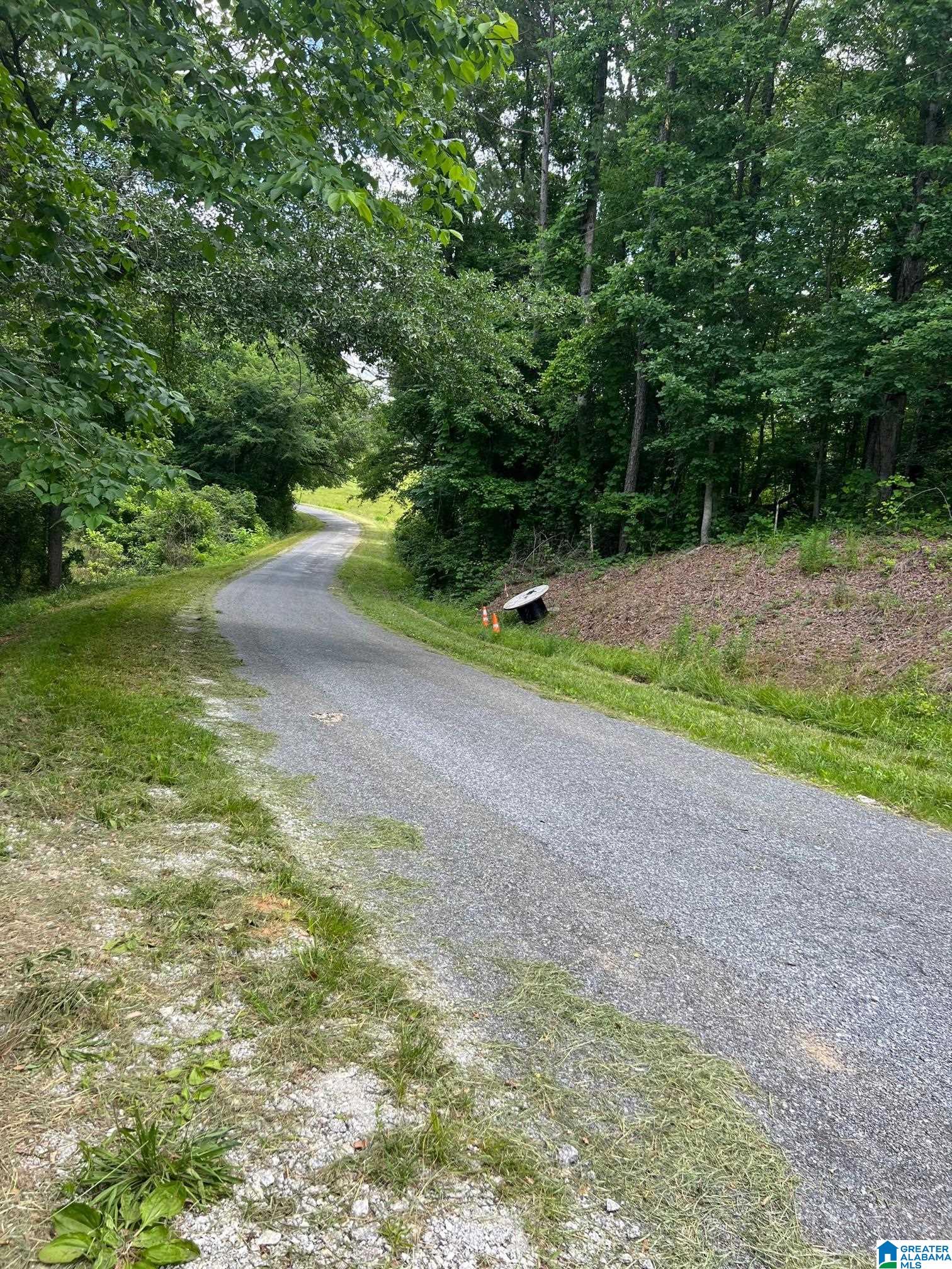 310 Fredric Ferry Road, Unit 5 AC Daviston, AL 36256 - Photo 7 of 10