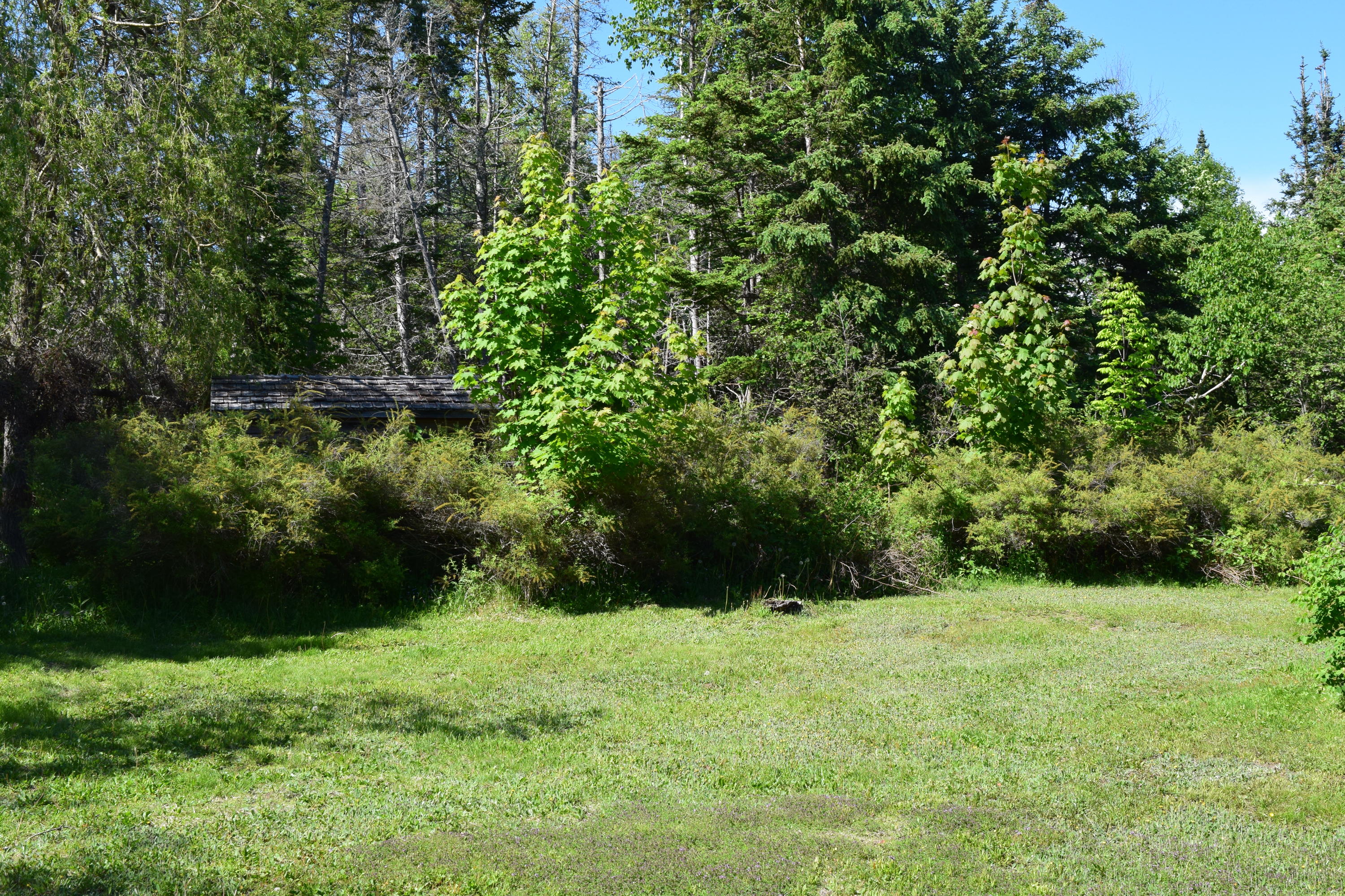 30 Perkins Street Castine, ME 04421 - Photo 7 of 7 Backyard