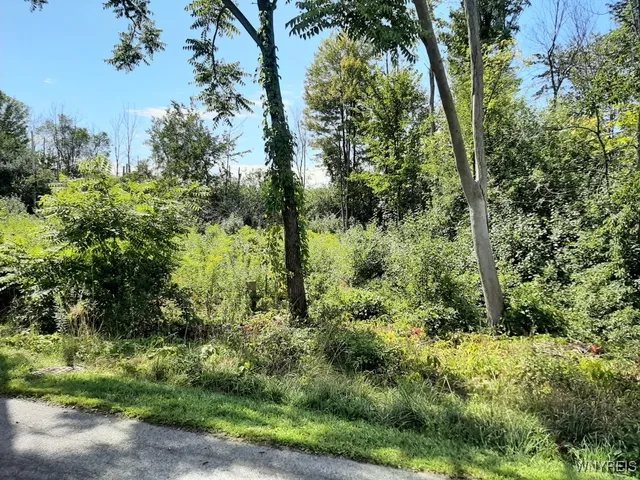 $39,900 | 5962 Rosewood Terrace West, Lake View, NY 14085