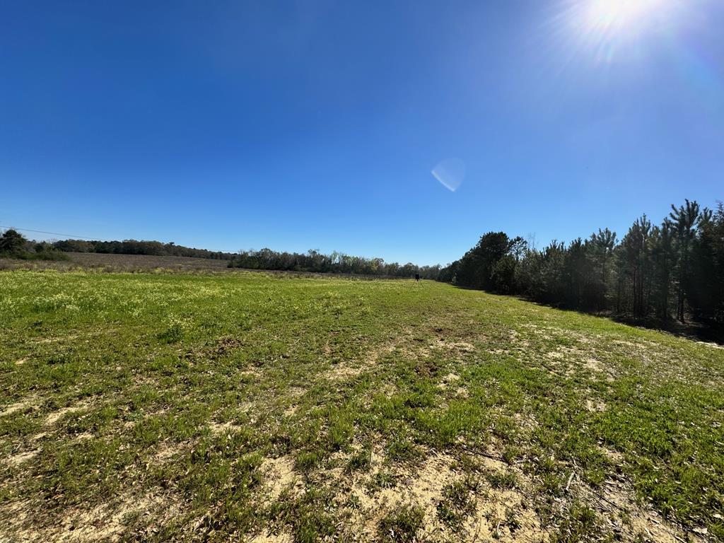 0 Macedonia Ch Road Columbia, AL 36319 - Photo 33 of 61