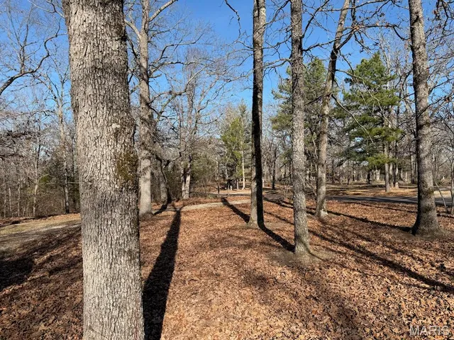 $260,000 | 99 County Road 4200, Salem, MO 65560