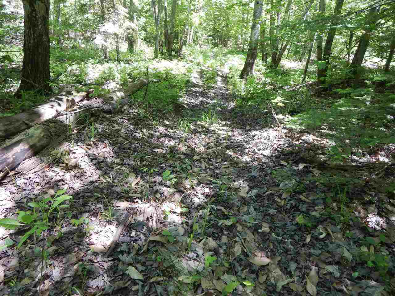 2434 Low Highrolloway Road Manistique, MI 49854 - Photo 59 of 96 1802122-59.JPG