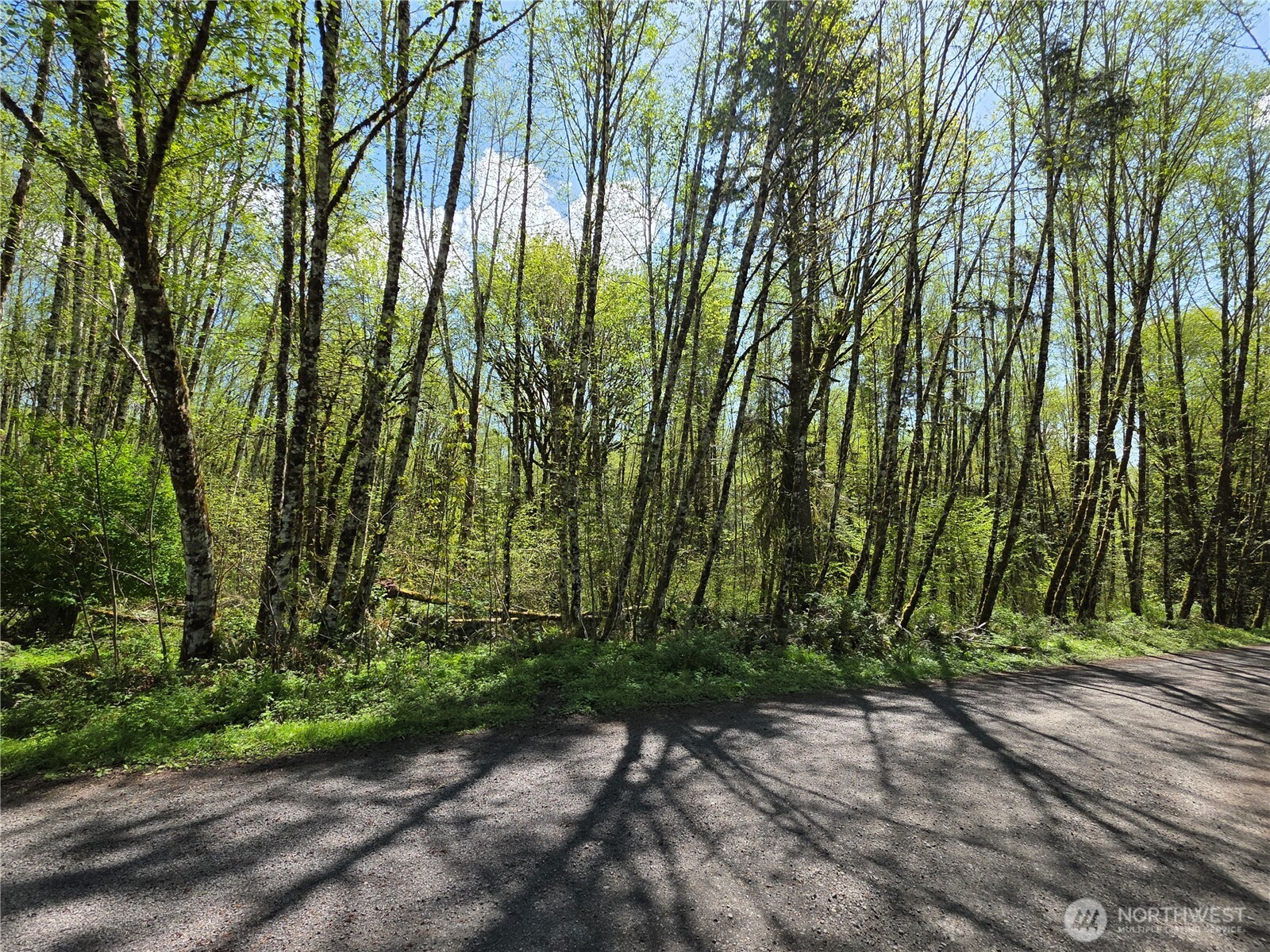 0 Mill Falls Lane Longview, WA 98632 - Photo 14 of 17