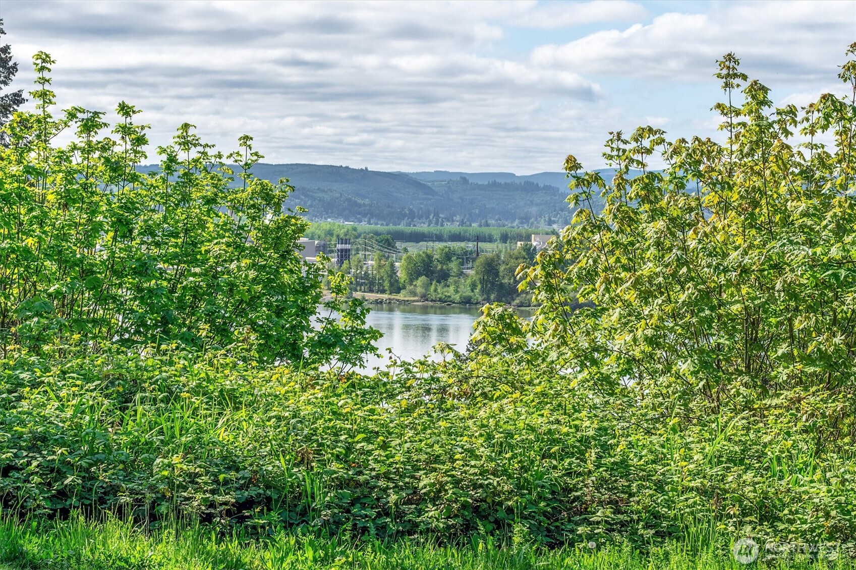 0 Mill Falls Lane Longview, WA 98632 - Photo 3 of 17 a view of a garden with a building in the background