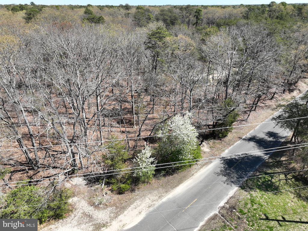 351 Shaws Mill Road Cedarville, NJ 08311 - Photo 83 of 84