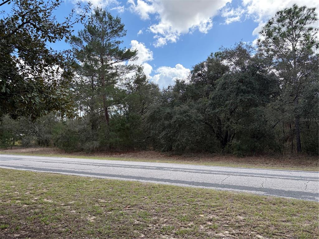 5260 West Ranger Street Beverly Hills, FL 34465 - Photo 1 of 1 a view of a swimming pool with a yard