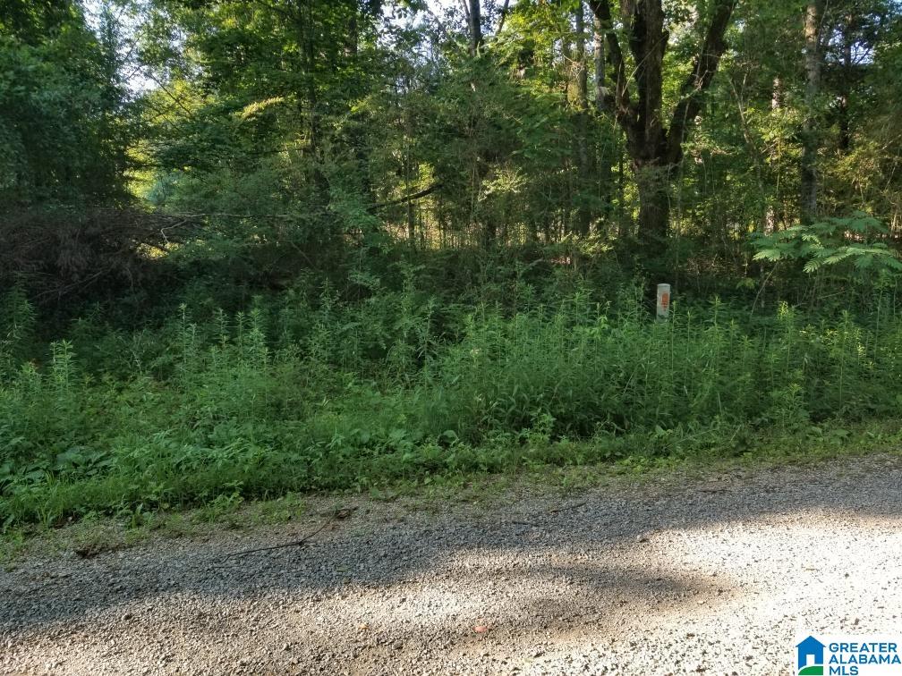 270 Oxford Road Lincoln, AL 35096 - Photo 10 of 21