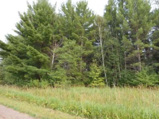On Sub-Station Road Phillips, WI 54555 - Photo 1 of 3 Gallery Image 1