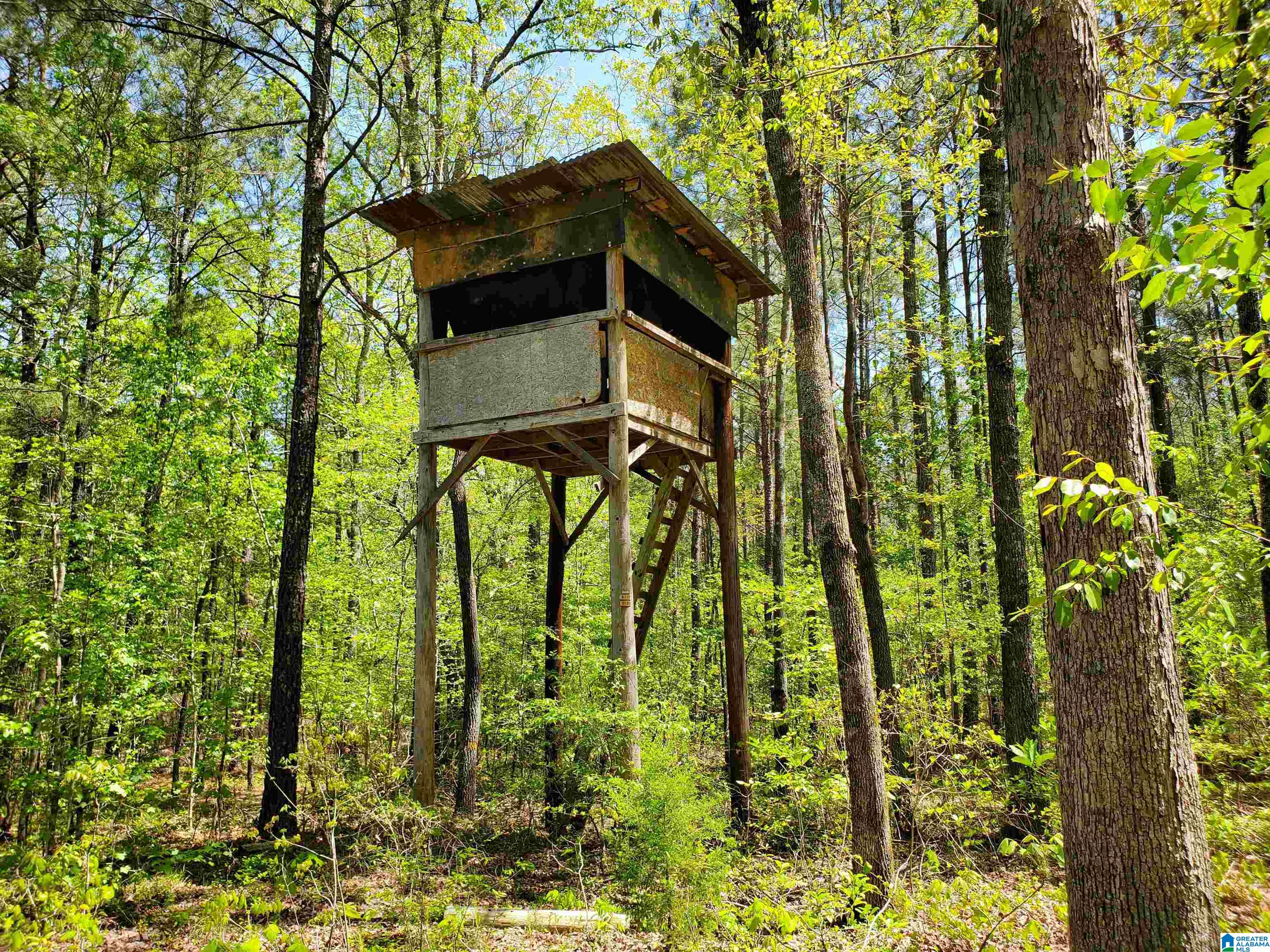 31 County Road Ashville, AL 35953 - Photo 11 of 14
