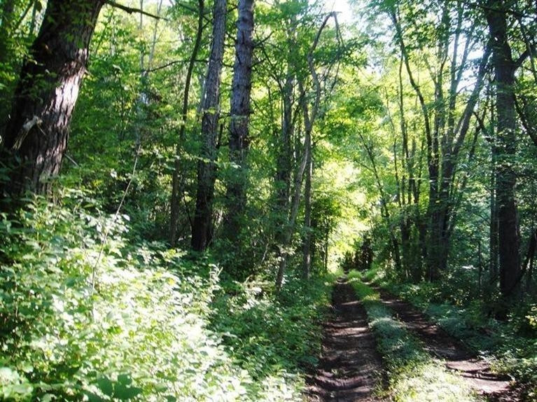 0 West Huron River Drive Dexter, MI 48130 - Photo 2 of 10 Photo 2