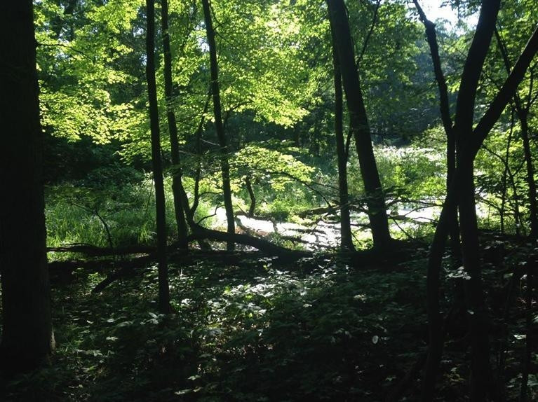 0 West Huron River Drive Dexter, MI 48130 - Photo 4 of 10 Photo 4