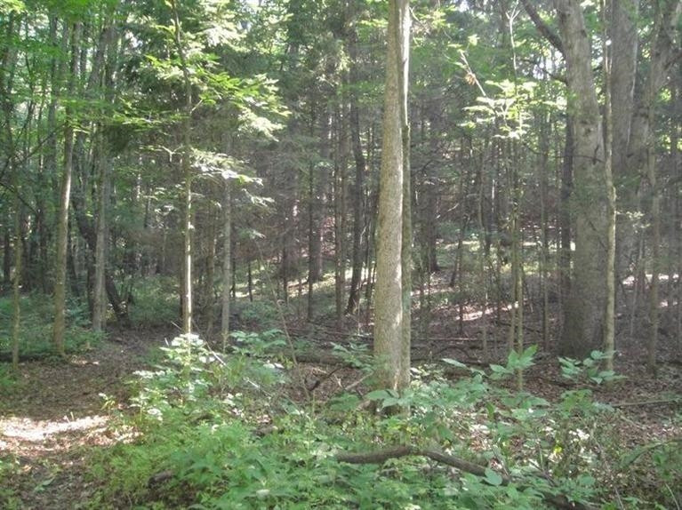 0 West Huron River Drive Dexter, MI 48130 - Photo 5 of 10 Photo 5