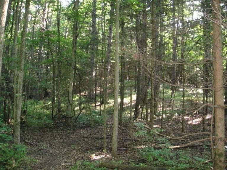 0 West Huron River Drive Dexter, MI 48130 - Photo 6 of 10 Photo 6