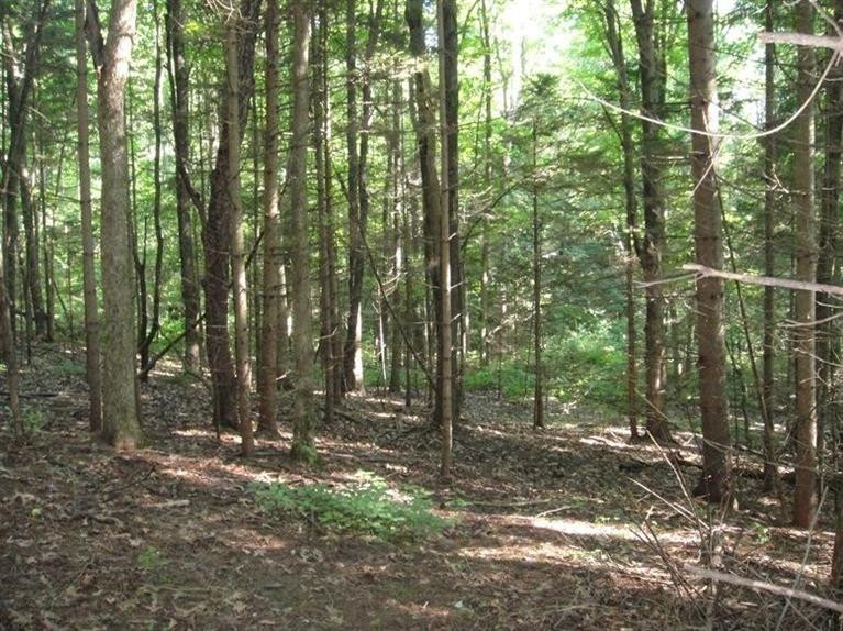 0 West Huron River Drive Dexter, MI 48130 - Photo 7 of 10 Photo 7