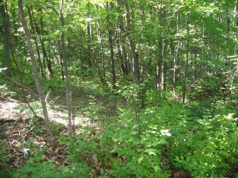 0 West Huron River Drive Dexter, MI 48130 - Photo 9 of 10 Photo 9