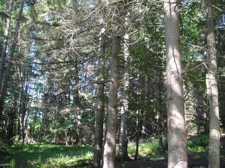 0 West Huron River Drive Dexter, MI 48130 - Photo 10 of 10 Photo 10