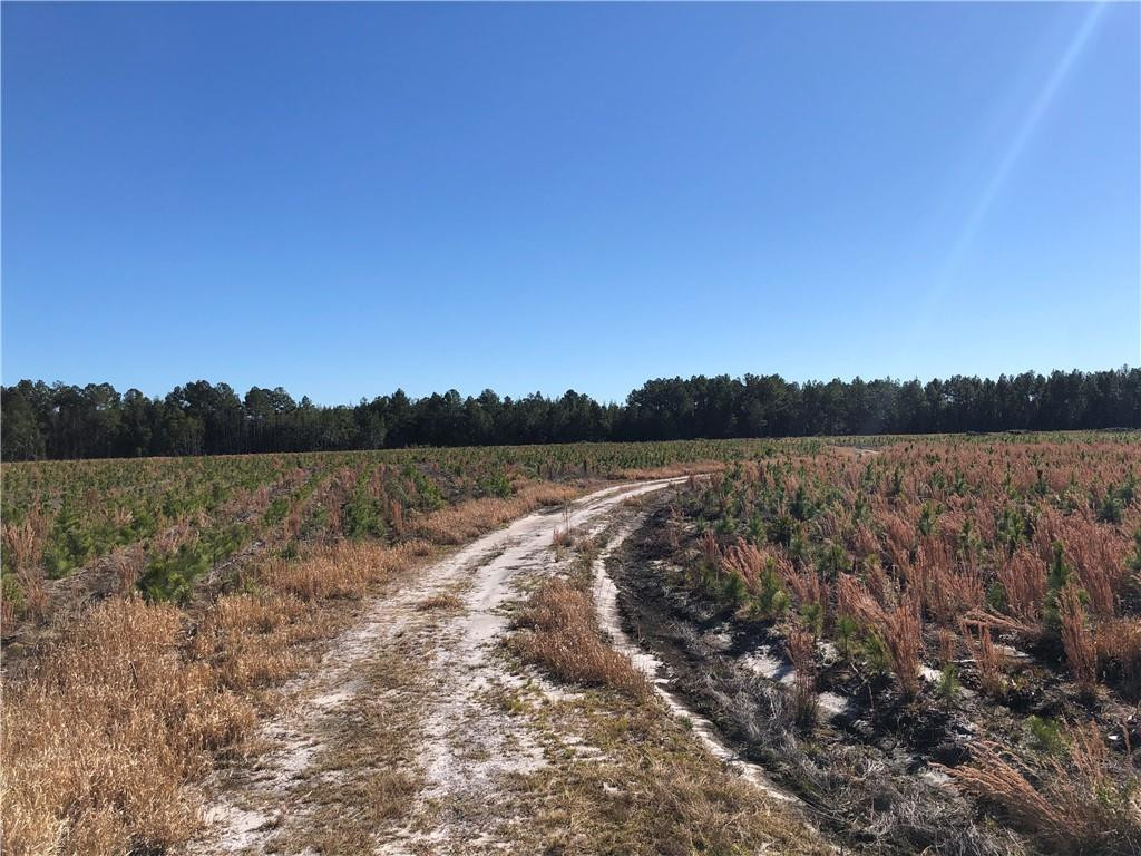 0 Winokur Rock Road Folkston, GA 31537 - Photo 1 of 1 Gallery Image 1