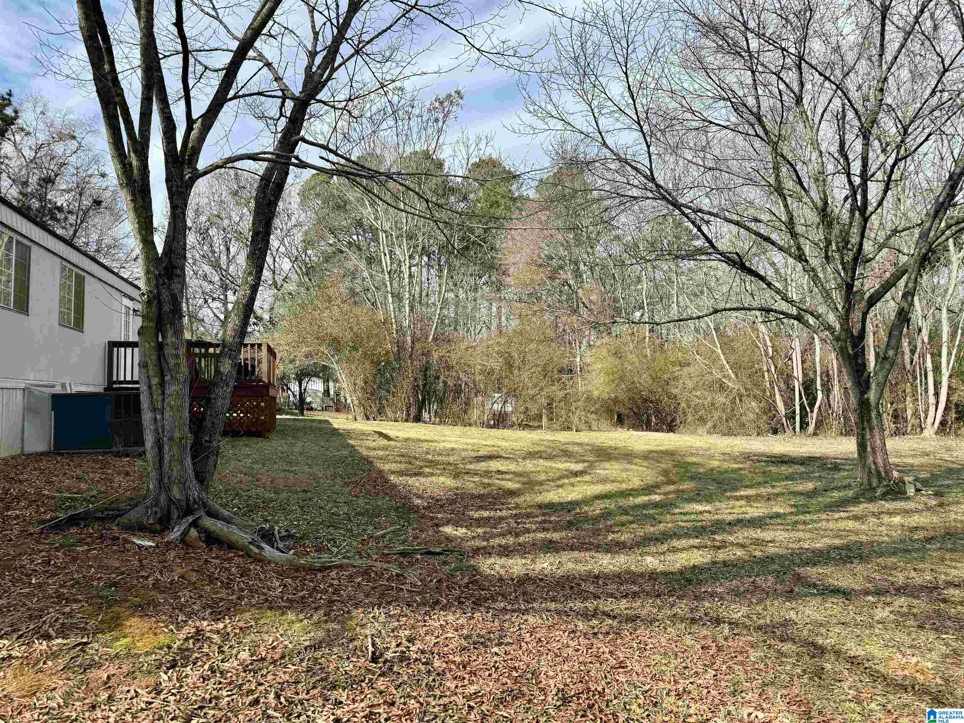 157 Looney Road Columbiana, AL 35051 - Photo 3 of 22