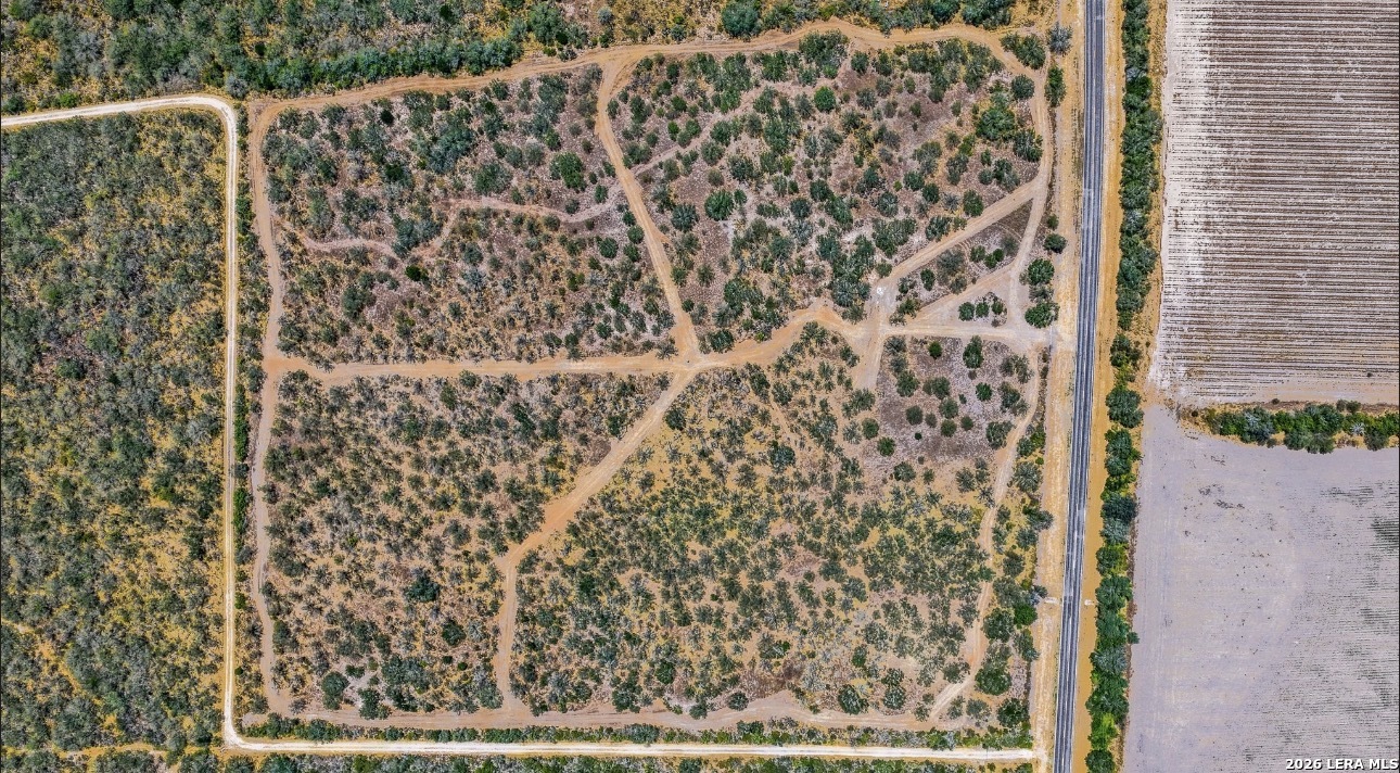 0 Farm To Market Rd 1329 Concepcion, TX 78349 - Photo 17 of 24 Gallery Image 17