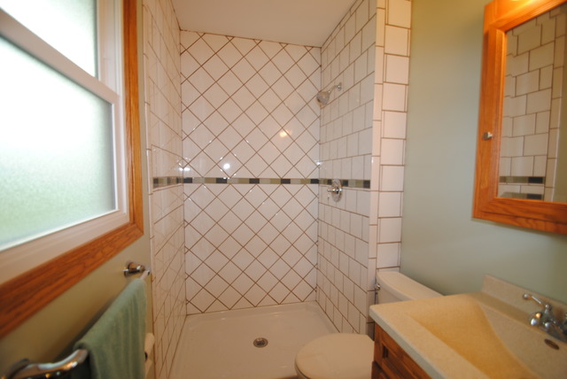 17676 Frazier Road Sandwich, IL 60548 - Photo 13 of 25 a bathroom with a sink a toilet and a shower
