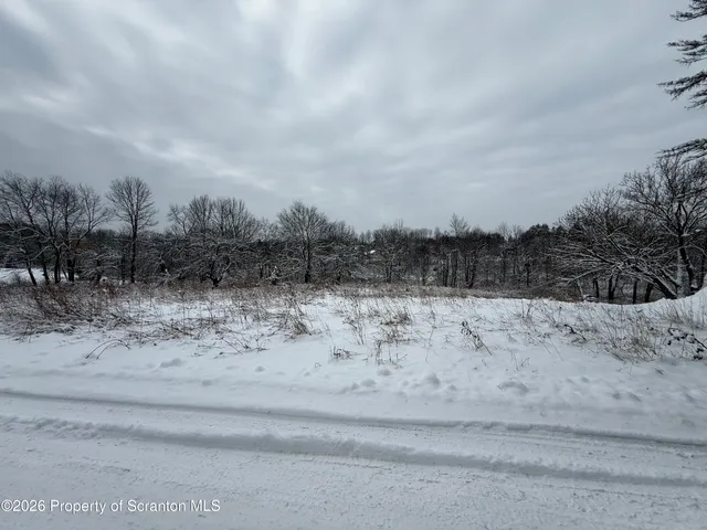 a view of a dry yard with wooden fence