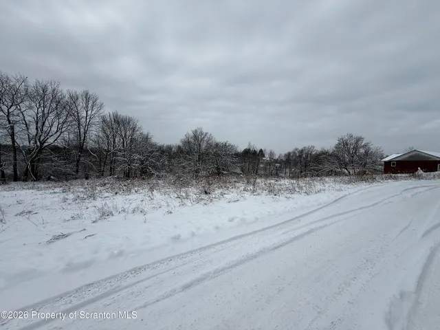 a view of a dry field with trees