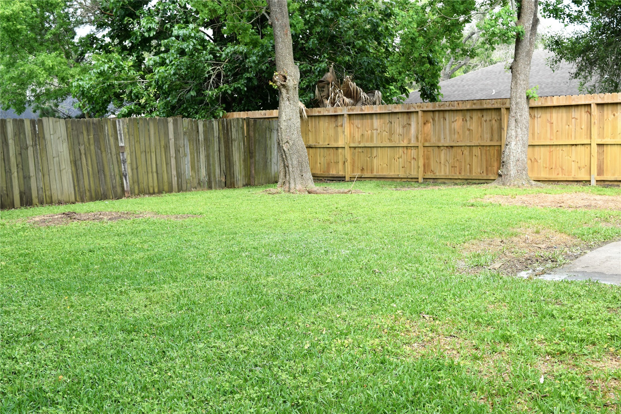 15406 Willview Road Houston, TX 77489 - Photo 15 of 15