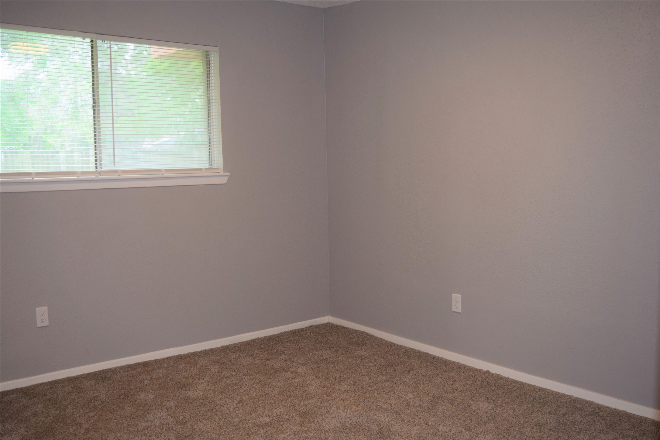 15406 Willview Road Houston, TX 77489 - Photo 8 of 15