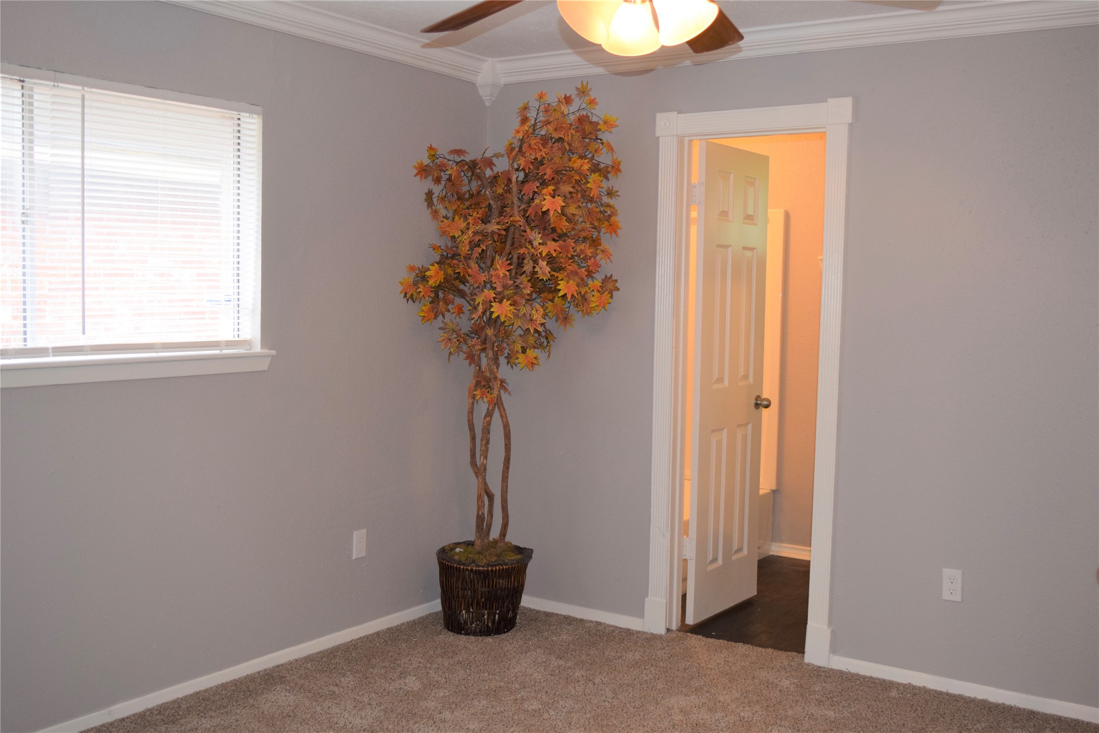 15406 Willview Road Houston, TX 77489 - Photo 10 of 15