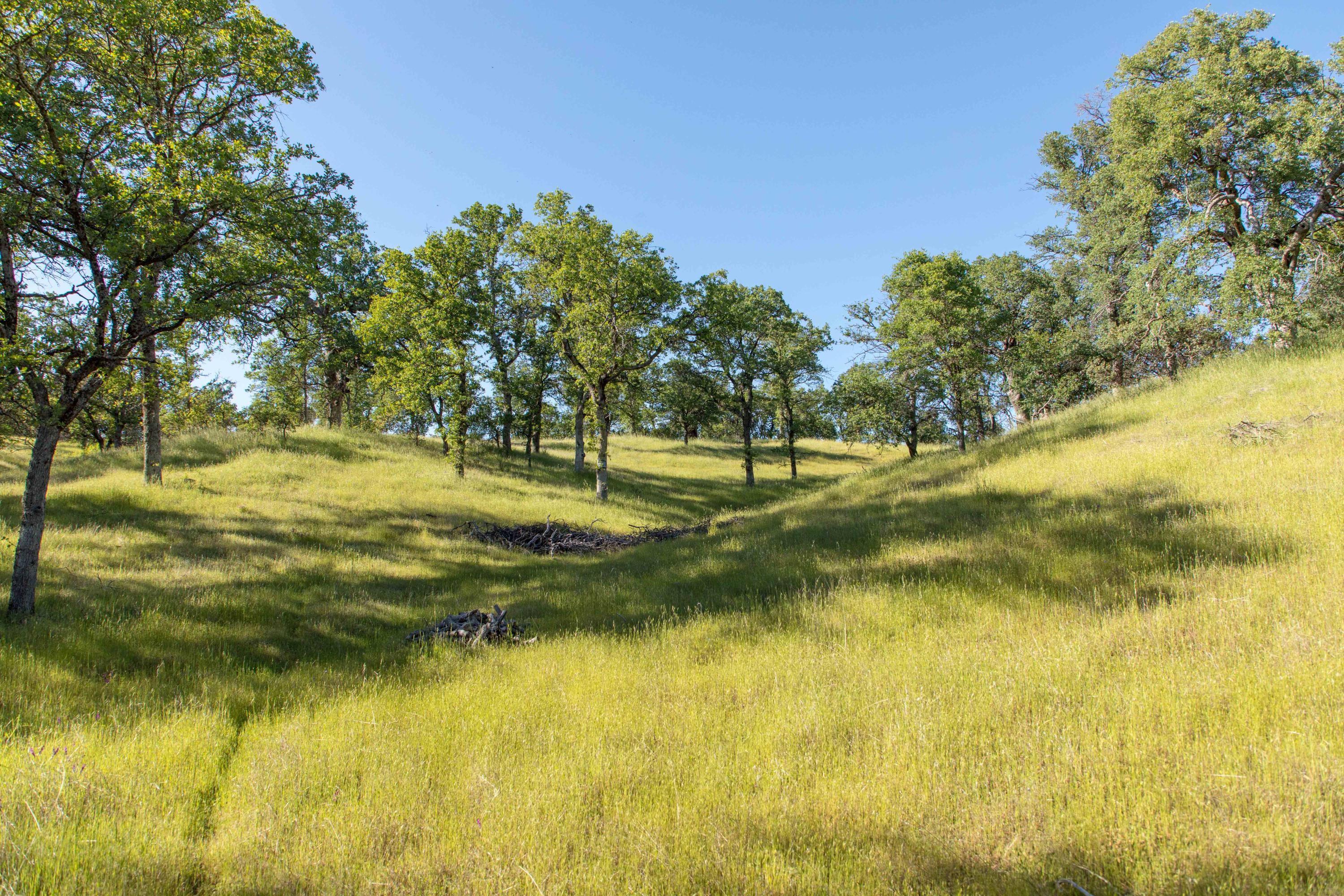 Quail Ridge Cottonwood, CA 96022 - Photo 6 of 27 254A8495