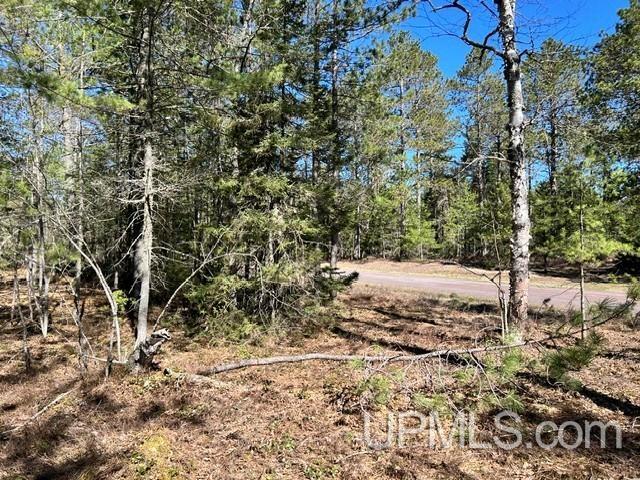 61 Little Rice Lk Road Lake Linden, MI 49945 - Photo 13 of 29