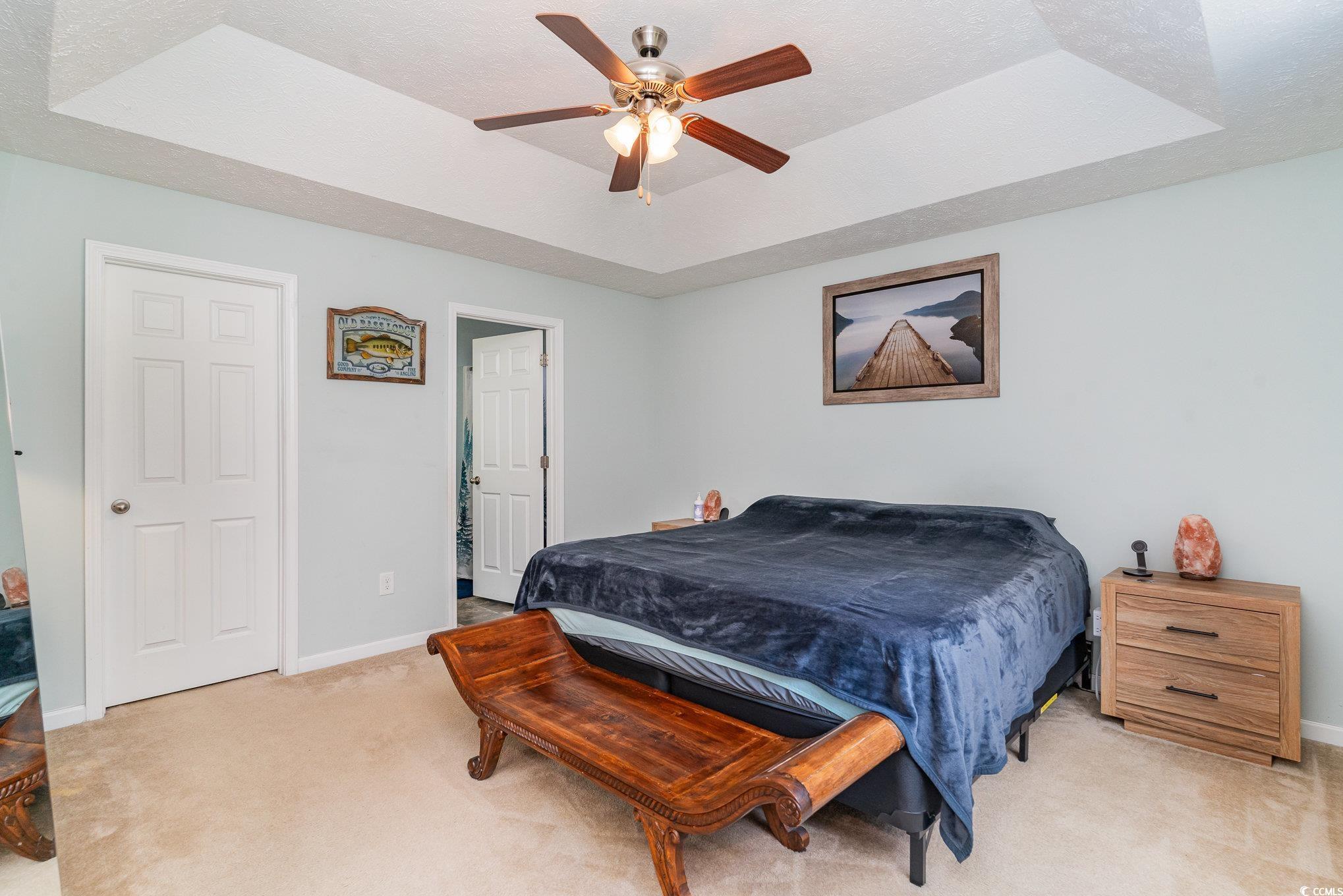 2432 Summerhaven Loop Conway, SC 29527 - Photo 18 of 40 Carpeted bedroom featuring a raised ceiling, ceili
