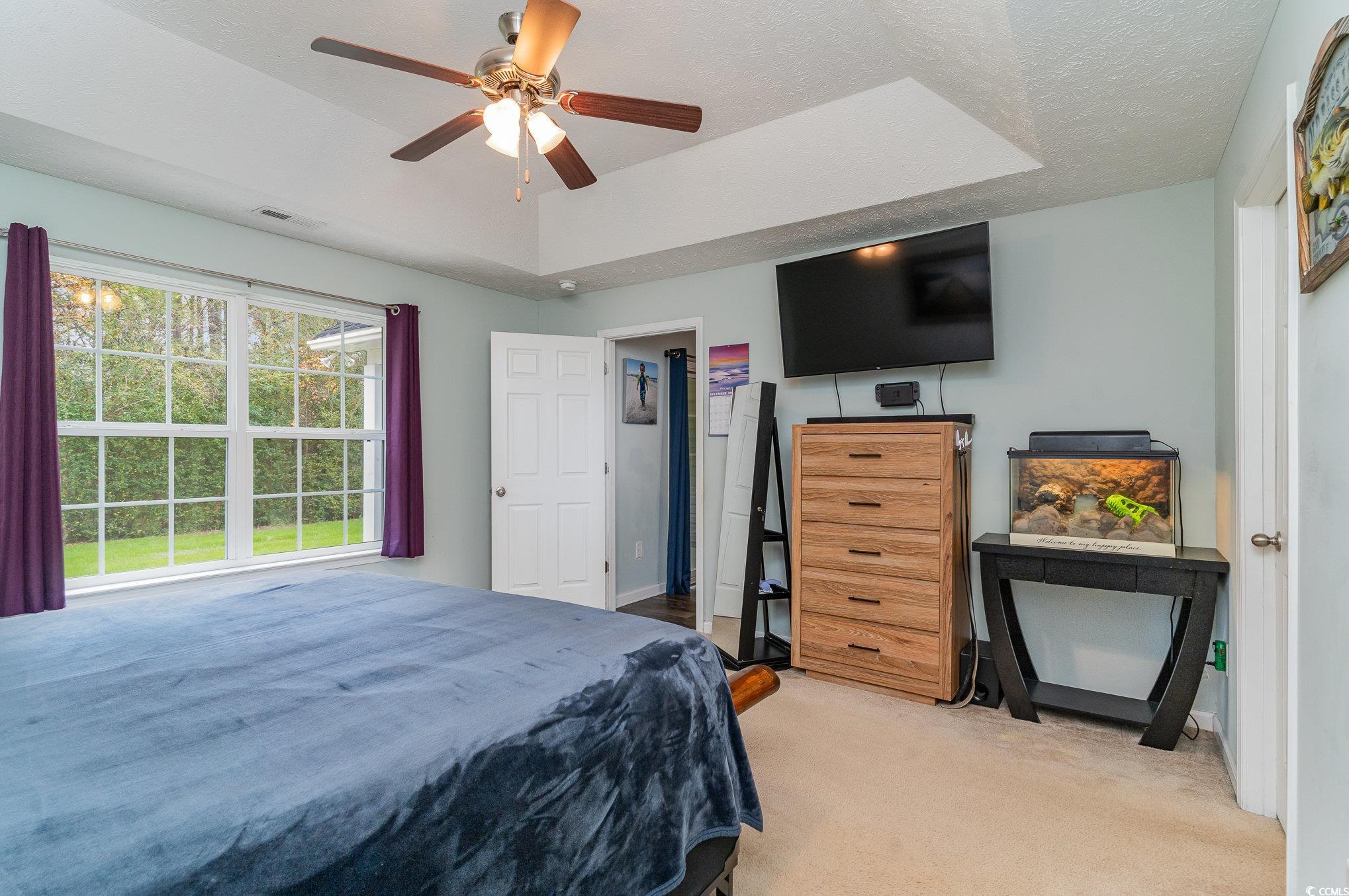 2432 Summerhaven Loop Conway, SC 29527 - Photo 20 of 40 Bedroom with a tray ceiling, ceiling fan, light ca