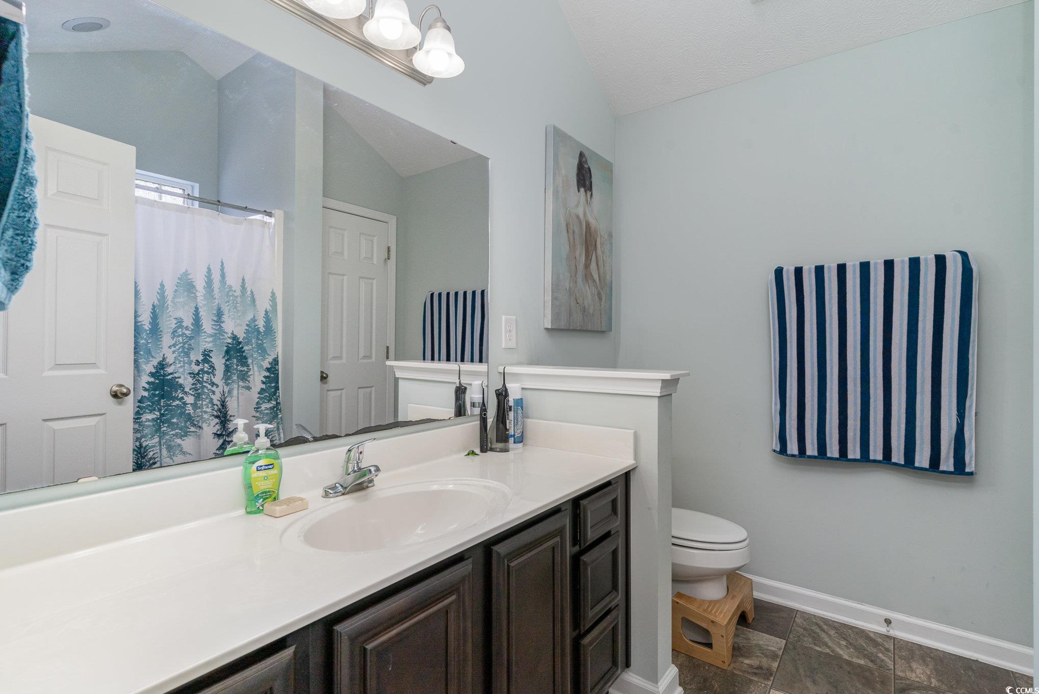 2432 Summerhaven Loop Conway, SC 29527 - Photo 21 of 40 Bathroom featuring toilet, vanity, vaulted ceiling